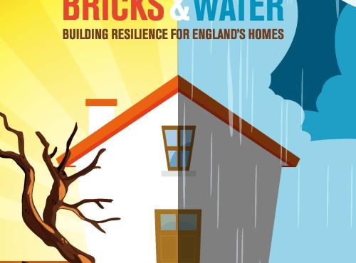 WSBF Launches Bricks and Water