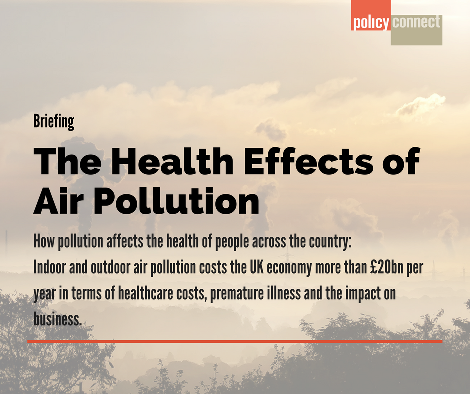 The health effects of air pollution: time to act briefing