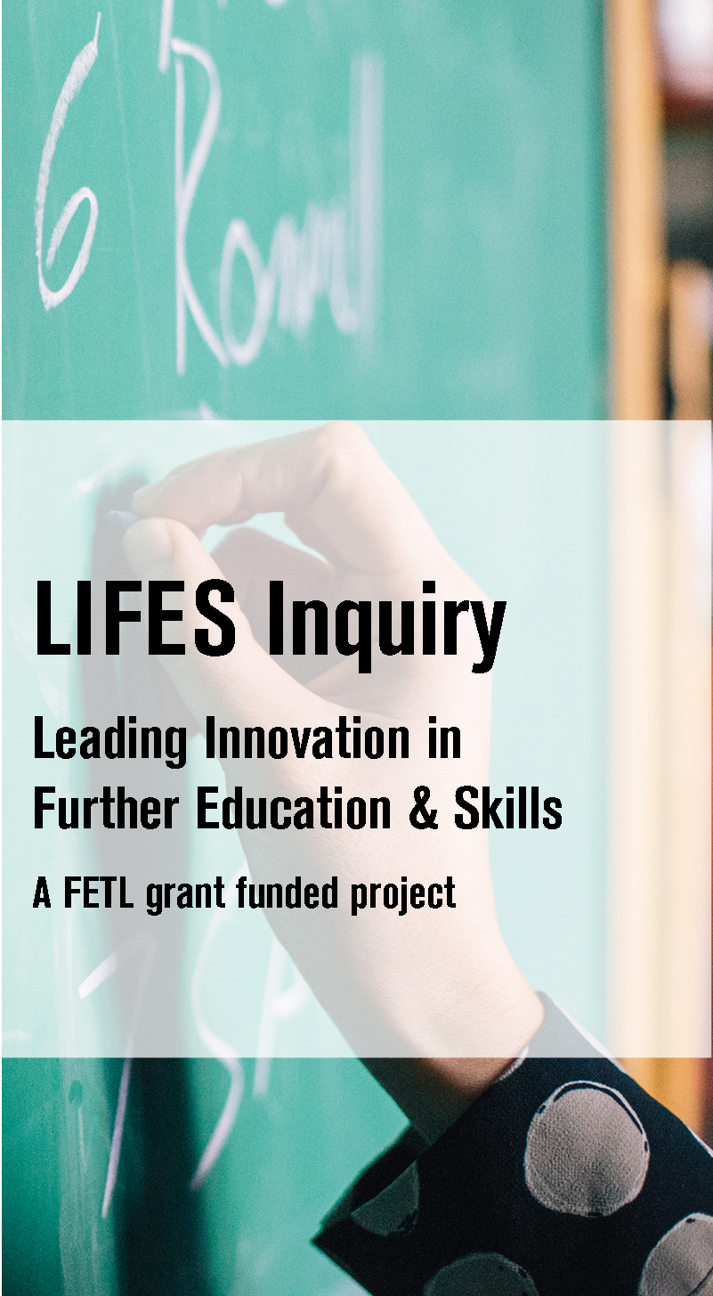 Our latest project: the LIFES inquiry