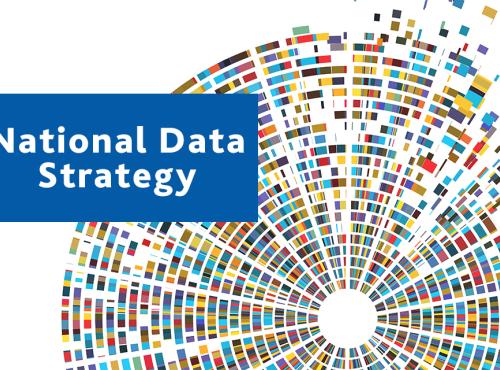 National Data Strategy Logo