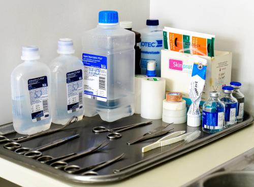 Sustainability in Health