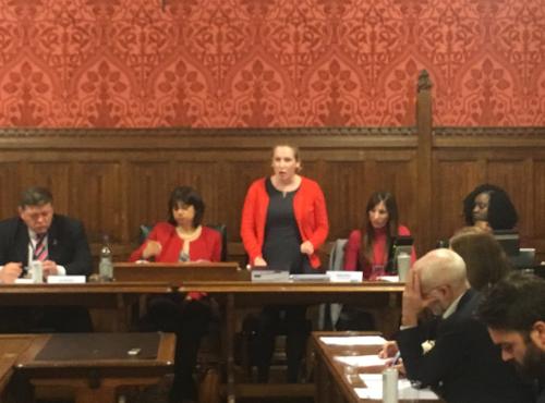 speakers at event: Rachel O'Brien,  Emma Lewell-Buck MP, Lord Addington, Baroness Campbell, Marsha De Cordova MP