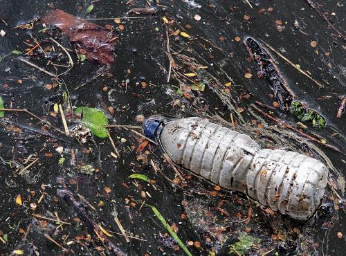 Setting the scene for the future of plastic recycling