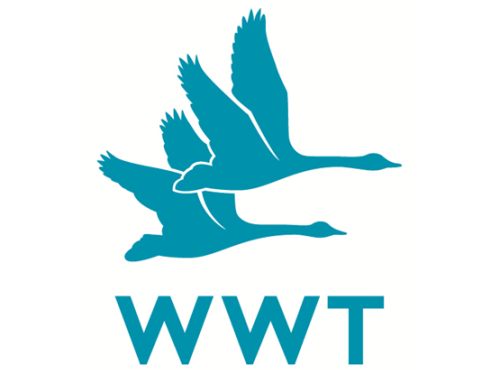 WWT joins the WSBF