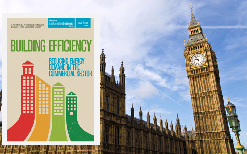 Building Efficiency Report and Palace of Westminster