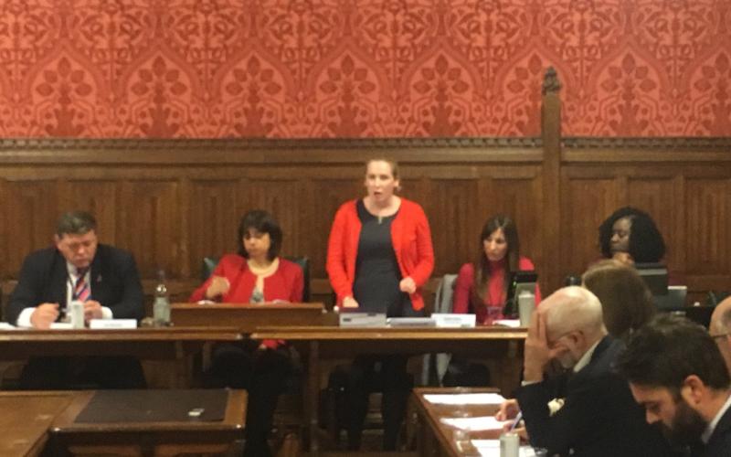 speakers at event: Rachel O'Brien,  Emma Lewell-Buck MP, Lord Addington, Baroness Campbell, Marsha De Cordova MP