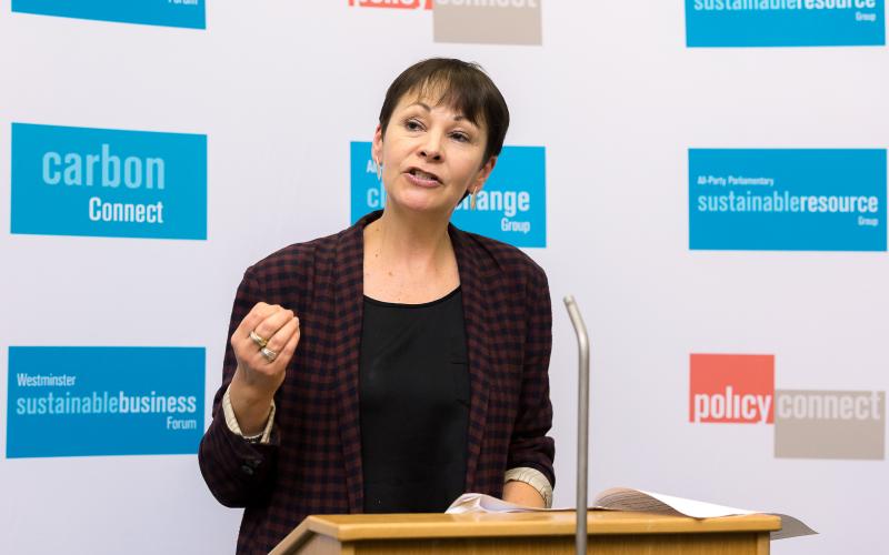 Caroline Lucas MP