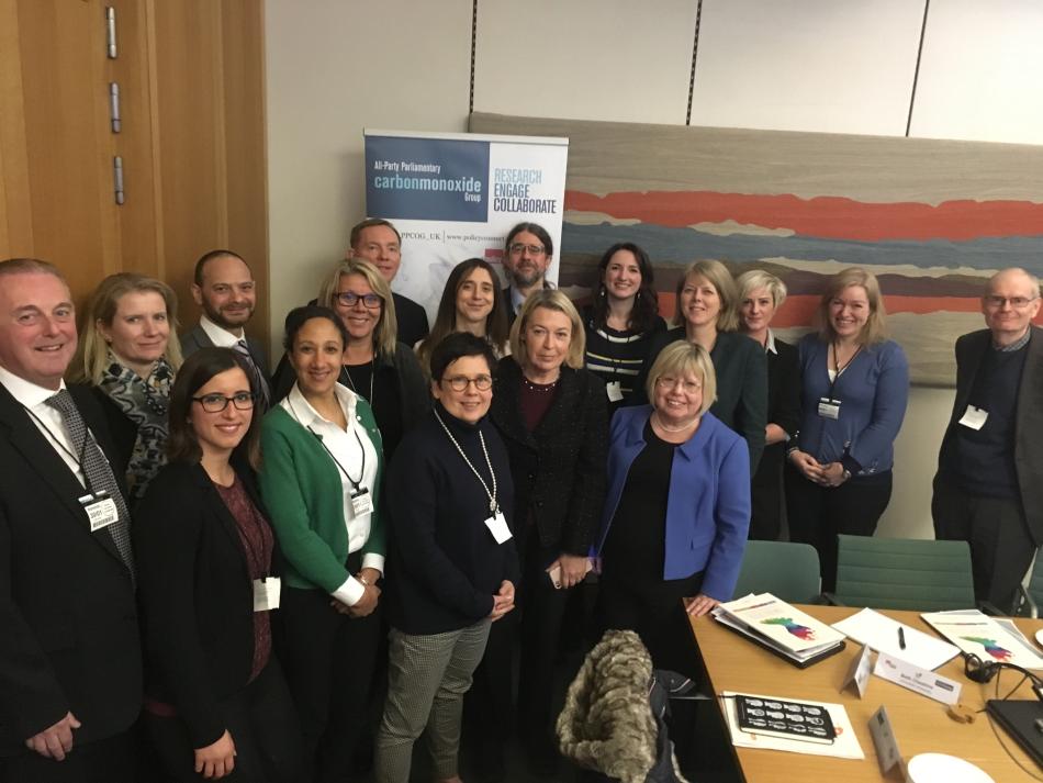 Photograph of the Brain and CO Roundtable attendees in Portcullis House