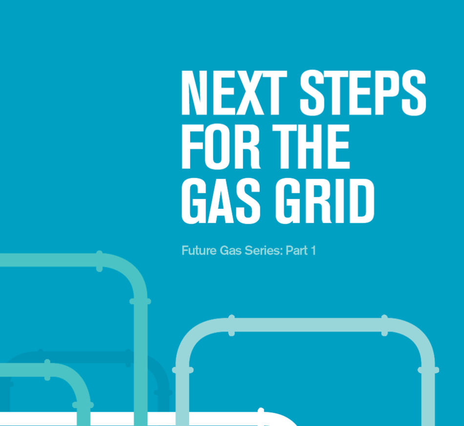 Future Gas Series 1: Next Steps for the Gas Grid