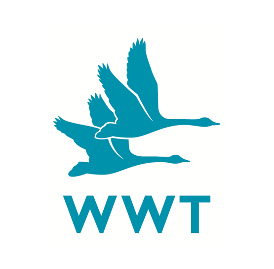 WWT joins the WSBF