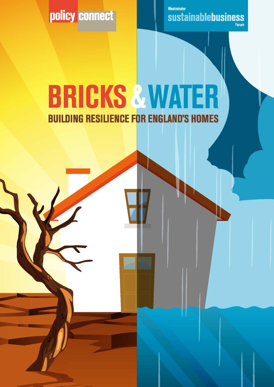 WSBF Launches Bricks and Water