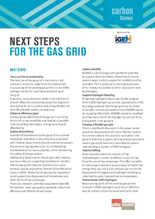 nextstepsforthegasgrid-flyer