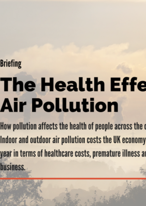 The health effects of air pollution: time to act briefing